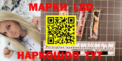 шишки Конаково