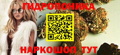 прущие грибы Кимры
