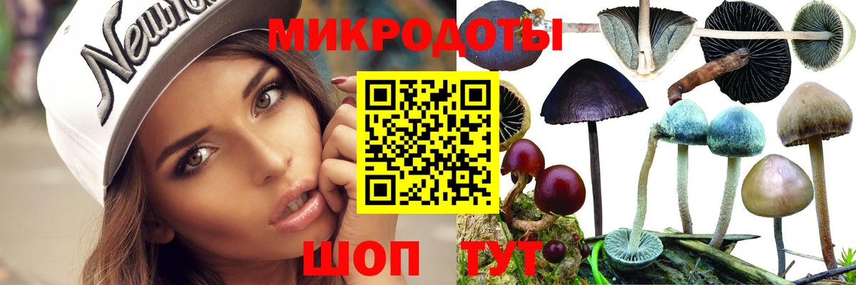 Галлюциногенные грибы Magic Shrooms Южно-Сахалинск